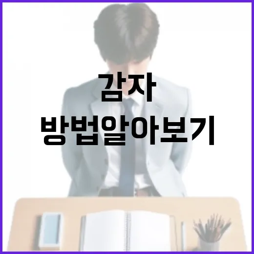 감다살의 뜻과 활용 방법 알아보기 - 요약