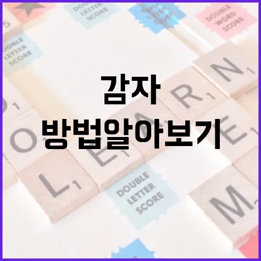 감다살의 뜻과 활용 방법 알아보기 - 요약