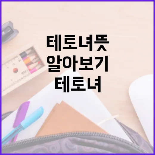 테토녀 뜻과 활용 방법 알아보기 - 요약