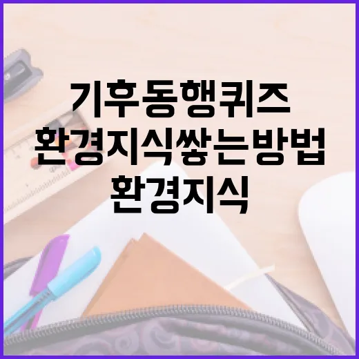 기후동행퀴즈로 환경 지식 쌓는 방법 - 요약