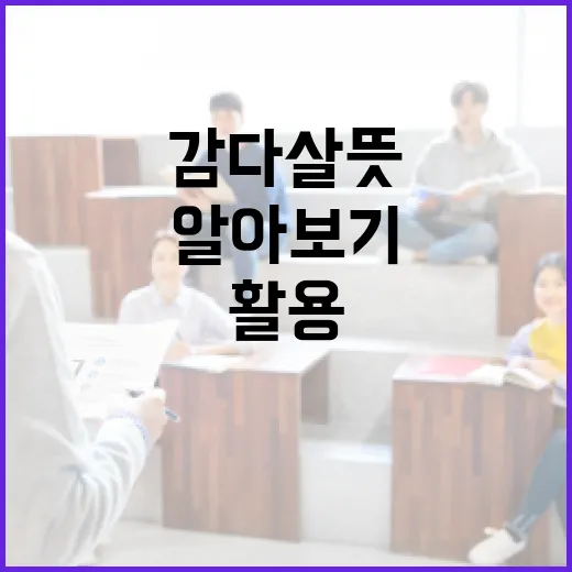 감다살 뜻과 활용 방법 알아보기 - 요약