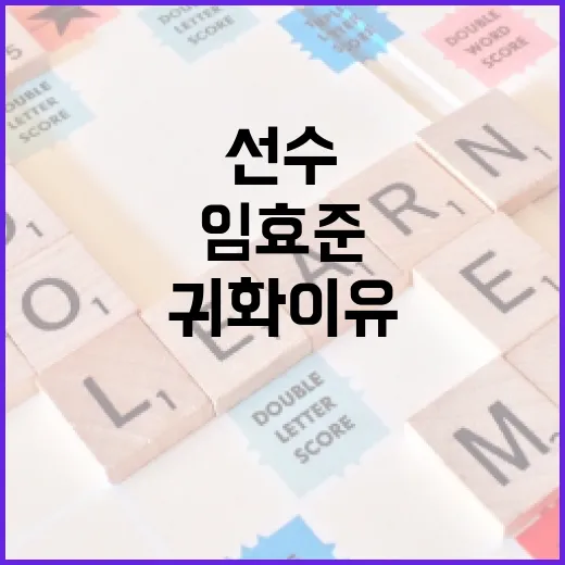 임효준 선수의 귀화 이유와 그 배경 알아보기 - 요약