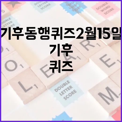 기후동행퀴즈 2월 15일에 성공하는 방법 - 요약