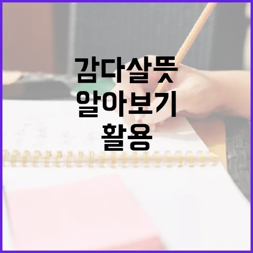 감다살 뜻과 활용 방법 알아보기 - 요약