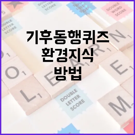 기후동행퀴즈로 환경 지식을 높이는 방법 - 요약