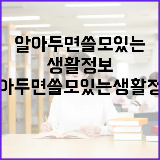 감다살의 의미와 활용법: 알아두면 쓸모 있는 생활 정보 - 요약