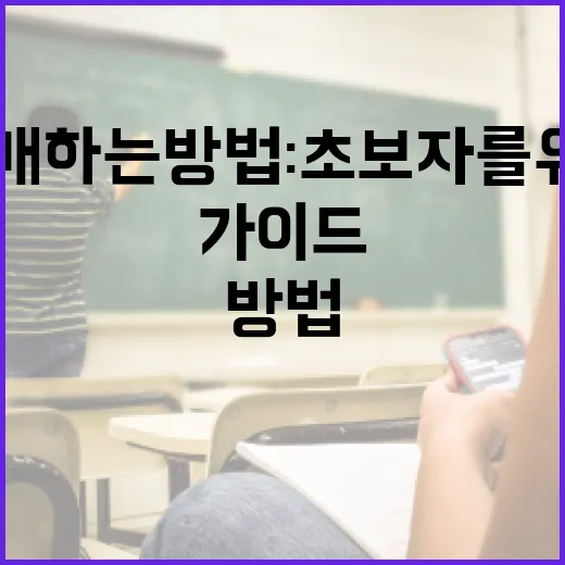 세배하는 방법: 초보자를 위한 가이드 - 요약