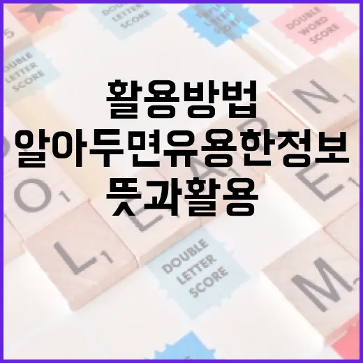 멘헤라 뜻과 활용 방법: 알아두면 유용한 정보 - 요약