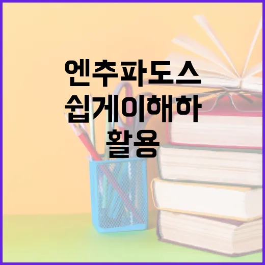엔추파도스를 쉽게 이해하고 활용하는 방법 - 요약