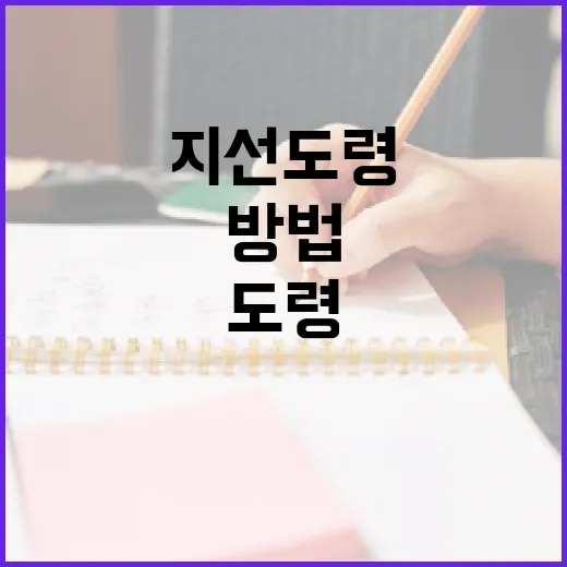 지선도령을 이해하고 활용하는 방법 - 요약
