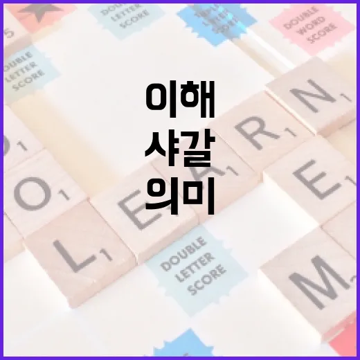 샤갈의 의미를 이해하는 방법 - 요약