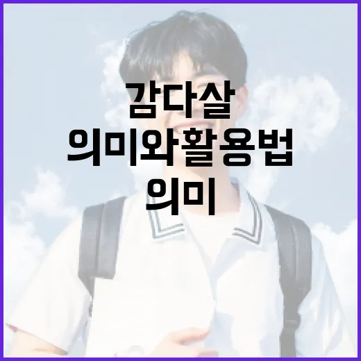 감다살의 의미와 활용법: 일상에서 어떻게 사용할까요? - 요약