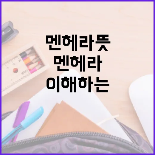 멘헤라 뜻과 이해하는 방법 - 요약