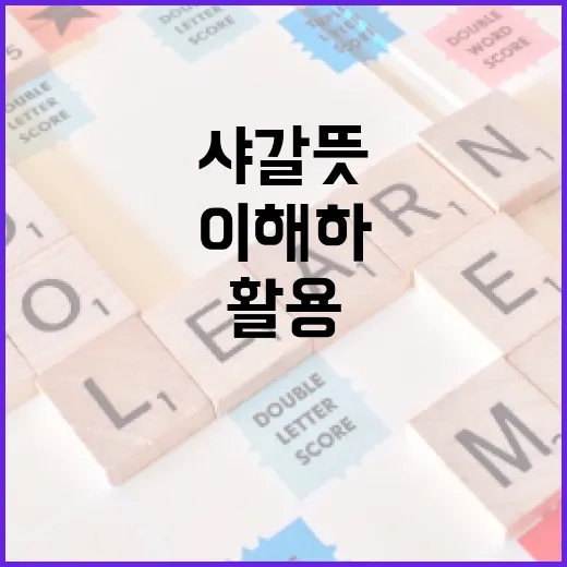 샤갈 뜻을 이해하고 활용하는 방법 - 요약