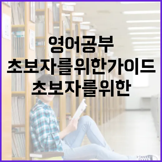 혼자서 영어 공부하는 방법: 초보자를 위한 가이드 - 요약
