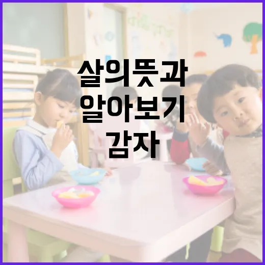 감다살의 뜻과 활용법 알아보기 - 요약