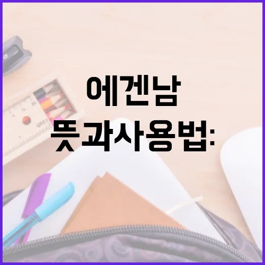 에겐남의 뜻과 사용법: 친근한 설명 - 요약