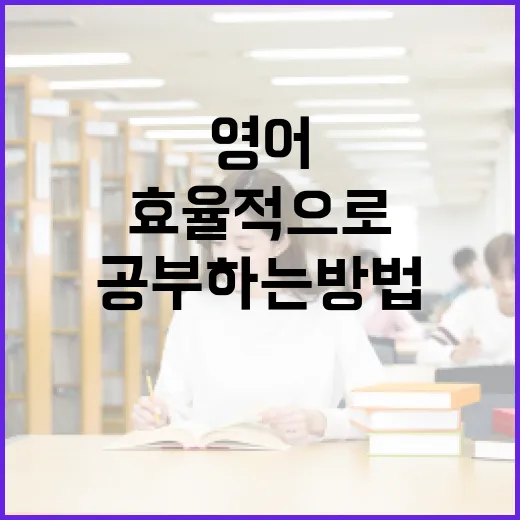 효율적으로 영어를 공부하는 방법 - 요약