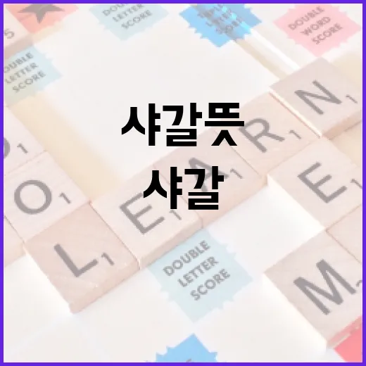 샤갈 뜻 이해하기: 예술적 세계로의 초대 - 요약
