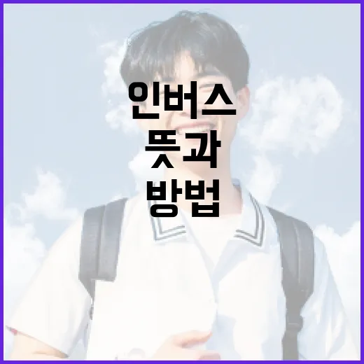 인버스의 뜻과 활용 방법, 알아봐요! - 요약