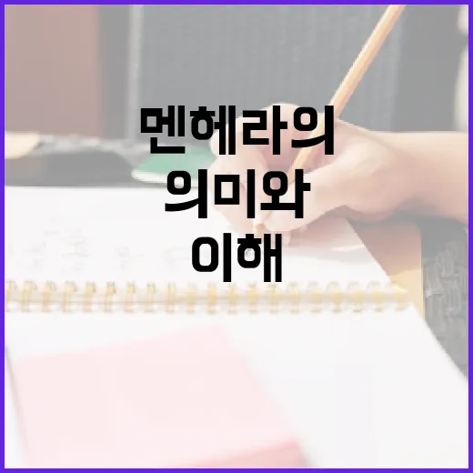 멘헤라의 의미와 올바르게 이해하는 방법 - 요약