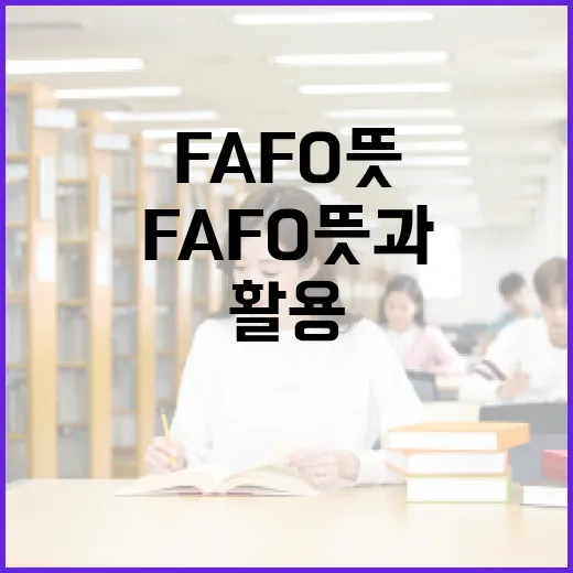 FAFO 뜻과 활용하는 방법 - 요약