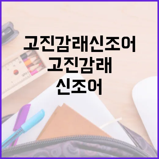 고진감래 신조어를 이해하고 활용하는 방법 - 요약