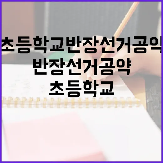 초등학교 반장선거 공약을 성공적으로 만드는 방법 - 요약