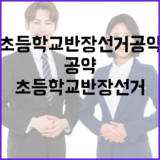 초등학교 반장선거 공약 세우는 방법 - 요약