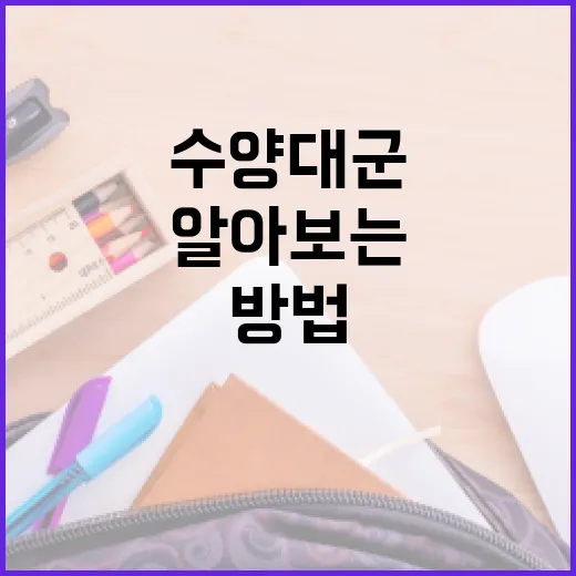 수양대군에 대해 알아보는 방법 - 요약