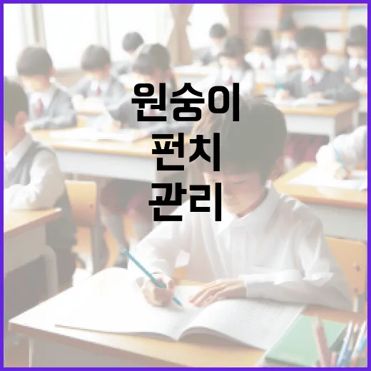 펀치 원숭이를 효과적으로 관리하는 방법 - 요약