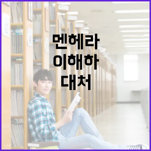 멘헤라란? 이해하고 대처하는 방법 - 요약