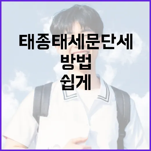 태종태세문단세를 쉽게 이해하는 방법 - 요약