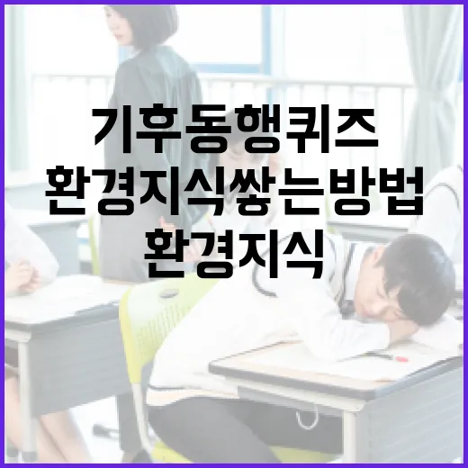 기후동행퀴즈로 환경 지식 쌓는 방법 - 요약