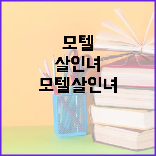 모텔살인녀 사건을 이해하는 방법 - 요약