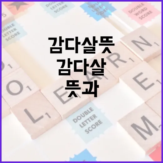 감다살 뜻과 활용법 알아보기 - 요약