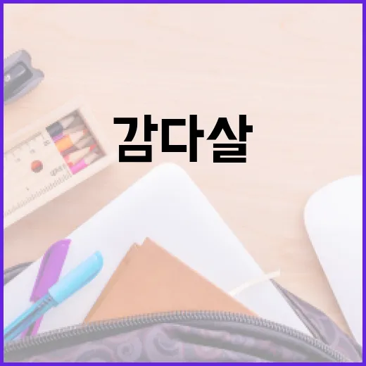 감다살의 뜻과 활용 방법 알아보기 - 요약