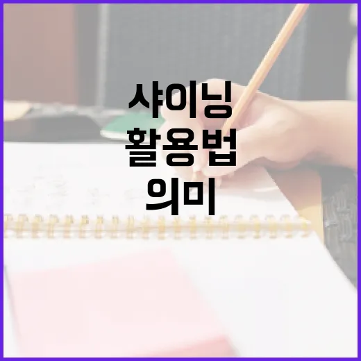 샤이닝의 의미와 활용법 - 요약