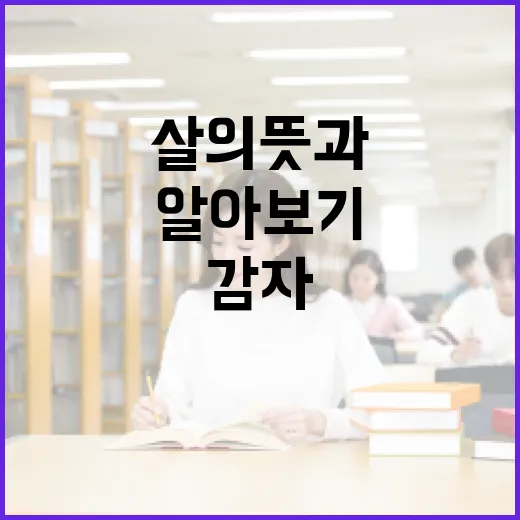 감다살의 뜻과 활용법 알아보기 - 요약