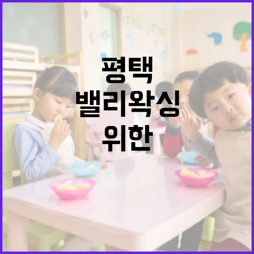 평택에서 밸리왁싱을 받는 방법: 초보자를 위한 가이드 - 요약