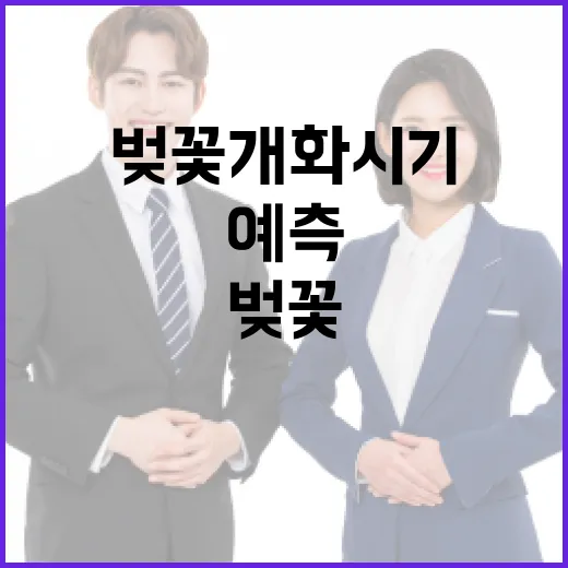 벚꽃 개화시기를 예측하는 방법 - 요약