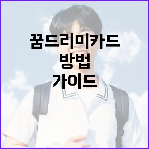 꿈드리미카드를 활용하는 방법: 초보자를 위한 가이드 - 요약