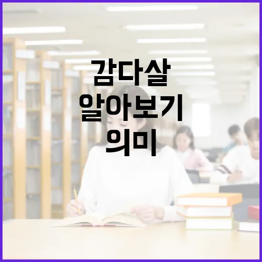 감다살의 의미와 활용 방법 알아보기 - 요약