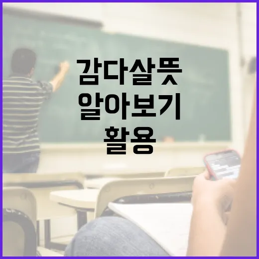 감다살 뜻과 활용 방법 알아보기 - 요약