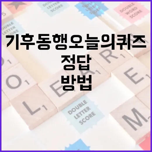 기후동행 오늘의 퀴즈 정답을 맞추는 방법 - 요약