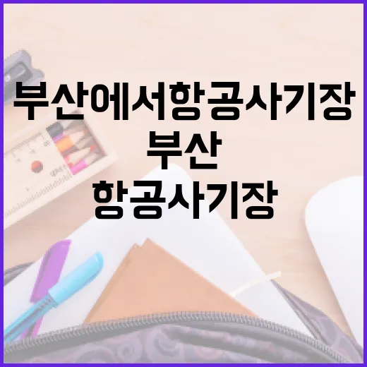 부산에서 항공사 기장이 되는 방법 - 요약