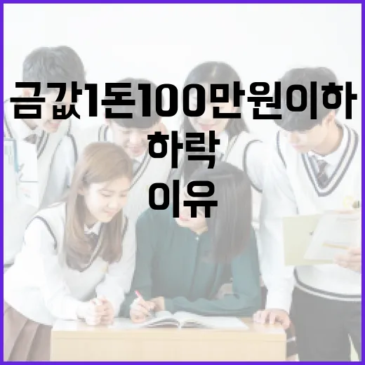 금값 1돈 100만원 이하로 하락하는 이유 알아보기 - 요약