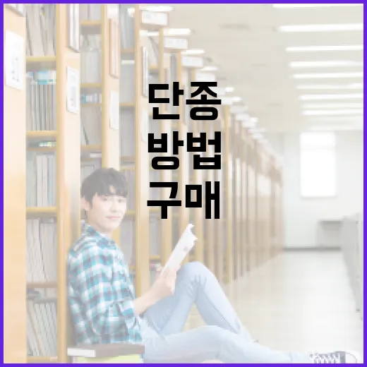 단종 제품 구매하는 방법: 희귀한 제품을 찾는 팁 - 요약