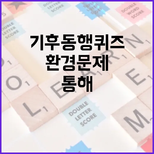 기후동행퀴즈를 통해 환경 문제를 이해하는 방법 - 요약