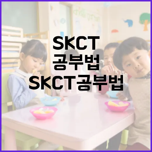 효율적인 SKCT 공부법 알아보기 - 요약